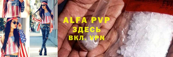 спайс Инта